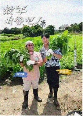 蓝色大门爱情